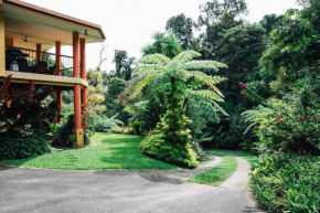 Studio in the Rainforest